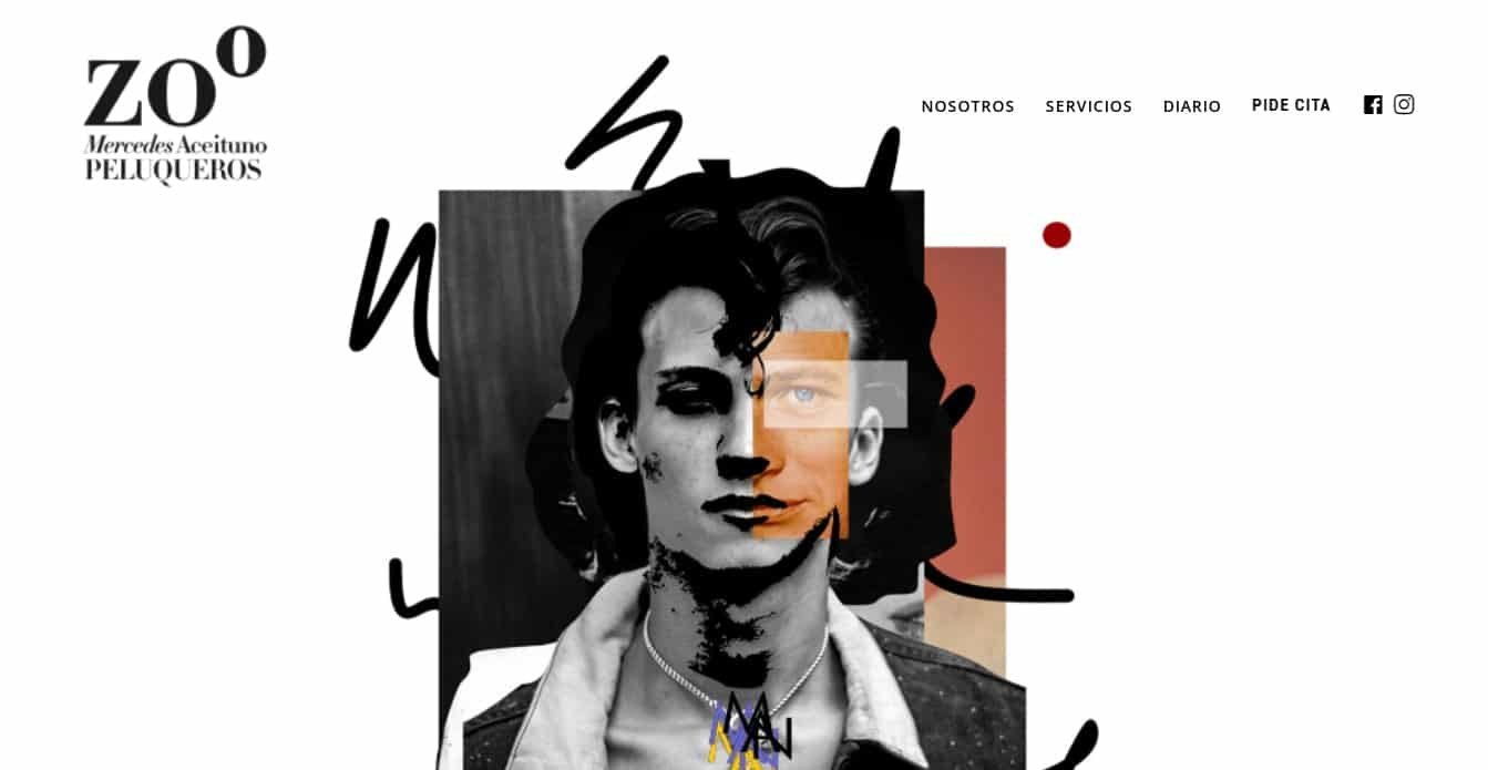 portfolio Peluqueria Zoo Jaen-min